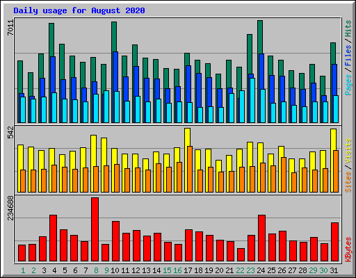 Daily usage for August 2020