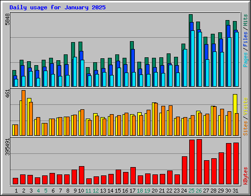 Daily usage for January 2025