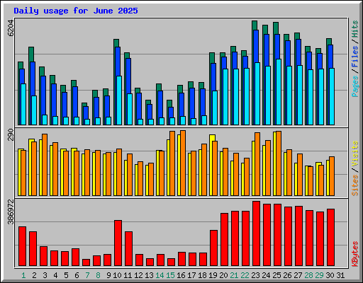 Daily usage for June 2025