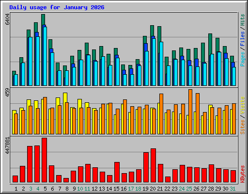 Daily usage for January 2026