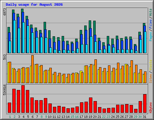 Daily usage for August 2026