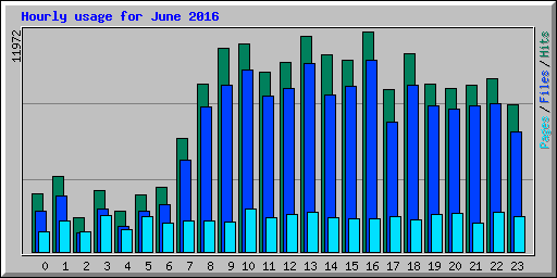 Hourly usage for June 2016