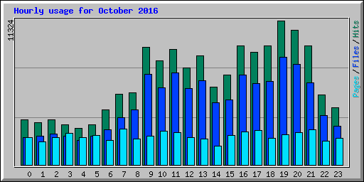 Hourly usage for October 2016