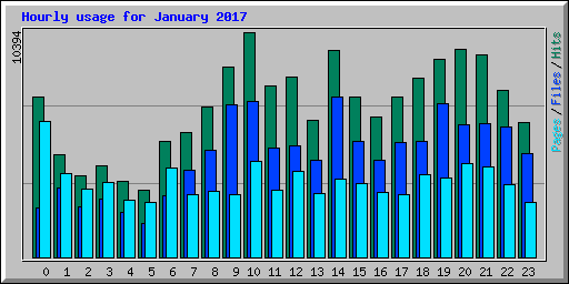 Hourly usage for January 2017