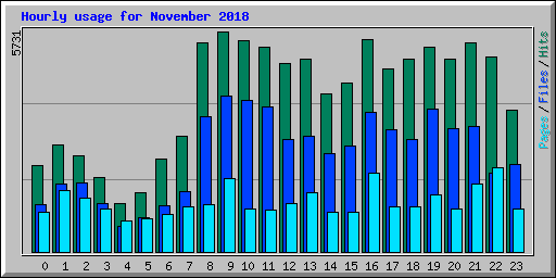Hourly usage for November 2018