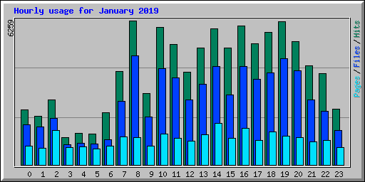 Hourly usage for January 2019