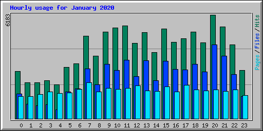 Hourly usage for January 2020