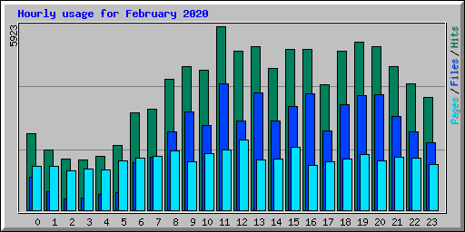 Hourly usage for February 2020