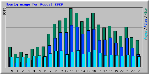Hourly usage for August 2020