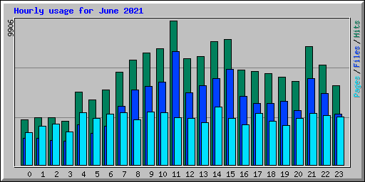 Hourly usage for June 2021