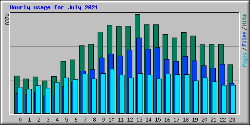 Hourly usage for July 2021