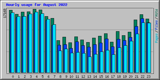Hourly usage for August 2022