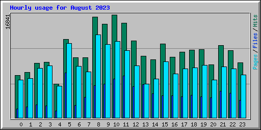 Hourly usage for August 2023
