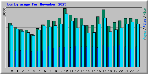 Hourly usage for November 2023