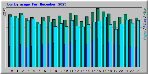 Hourly usage for December 2023