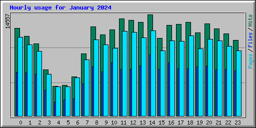 Hourly usage for January 2024
