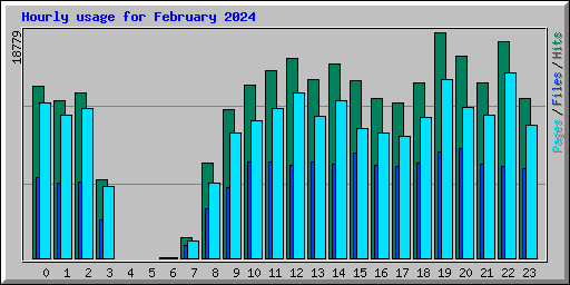 Hourly usage for February 2024