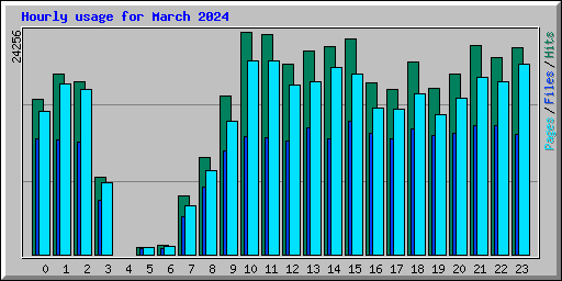 Hourly usage for March 2024