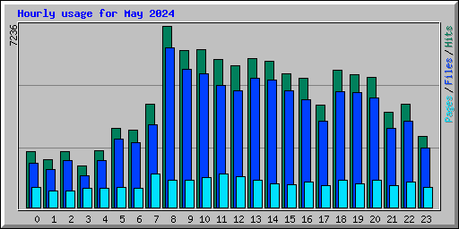 Hourly usage for May 2024