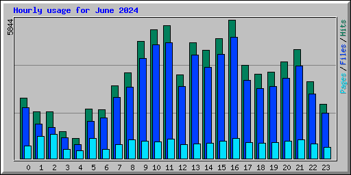 Hourly usage for June 2024