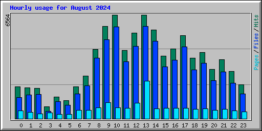 Hourly usage for August 2024