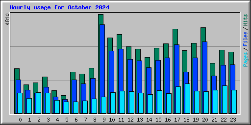 Hourly usage for October 2024