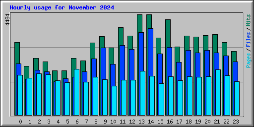 Hourly usage for November 2024