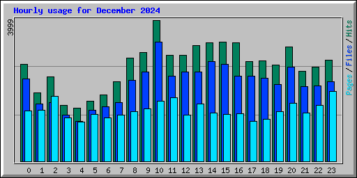 Hourly usage for December 2024