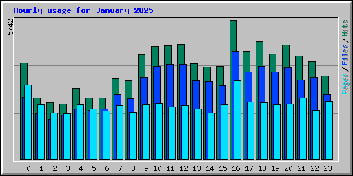 Hourly usage for January 2025