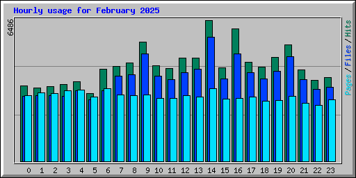 Hourly usage for February 2025