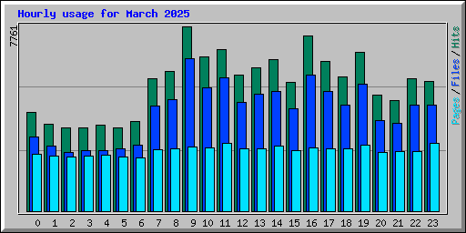 Hourly usage for March 2025