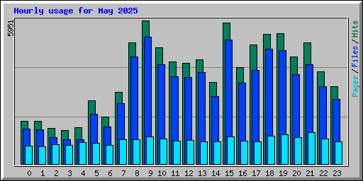 Hourly usage for May 2025