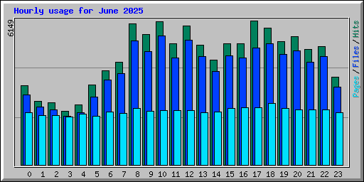 Hourly usage for June 2025