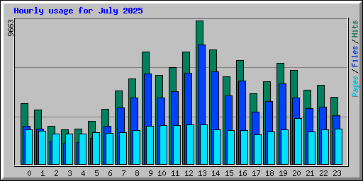 Hourly usage for July 2025