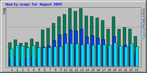 Hourly usage for August 2025