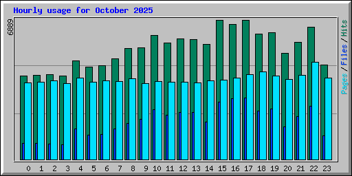 Hourly usage for October 2025
