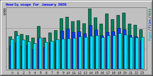 Hourly usage for January 2026