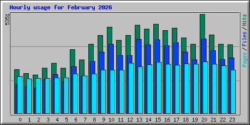 Hourly usage for February 2026