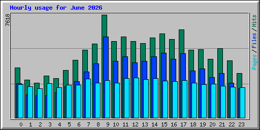 Hourly usage for June 2026