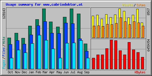 Usage summary for www.cabriodoktor.at